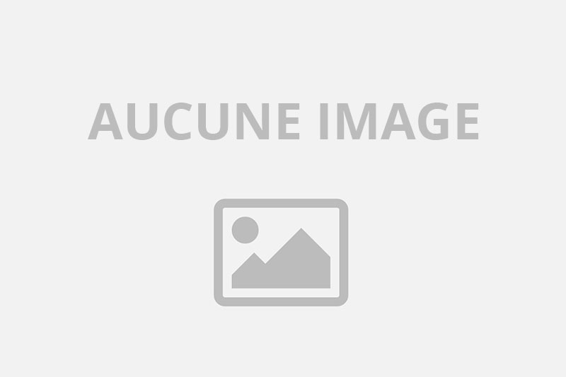 Nouvelle cabine de massage climatisé 770917211